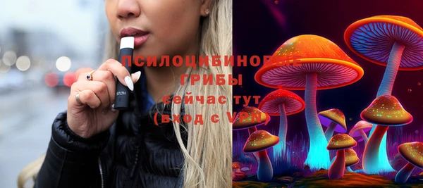 бошки Волоколамск