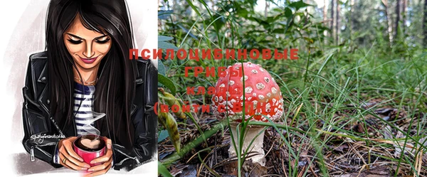 бошки Волоколамск