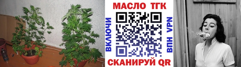 ТГК гашишное масло  Купить закладки  Кирс 