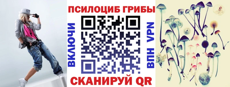 Купить закладки  Кирс  Галлюциногенные грибы GOLDEN TEACHER 